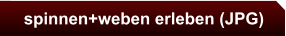 spinnen+weben erleben (JPG)